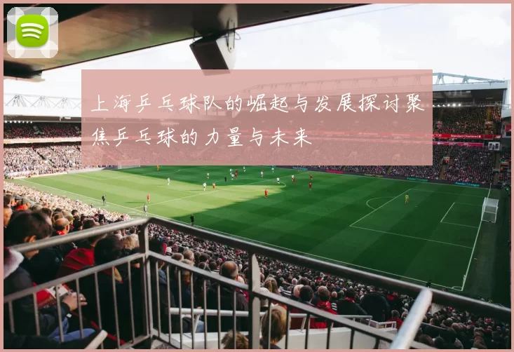 上海乒乓球队的崛起与发展探讨聚焦乒乓球的力量与未来
