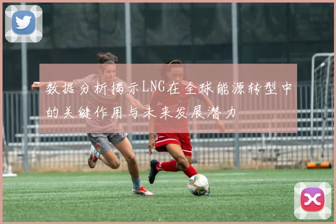 数据分析揭示LNG在全球能源转型中的关键作用与未来发展潜力