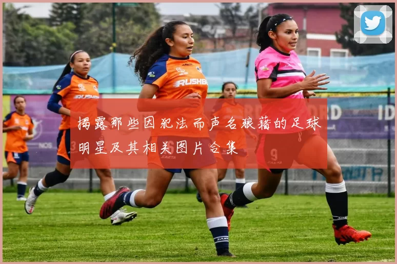 揭露那些因犯法而声名狼藉的足球明星及其相关图片合集