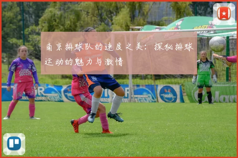 南京排球队的速度之美：探秘排球运动的魅力与激情