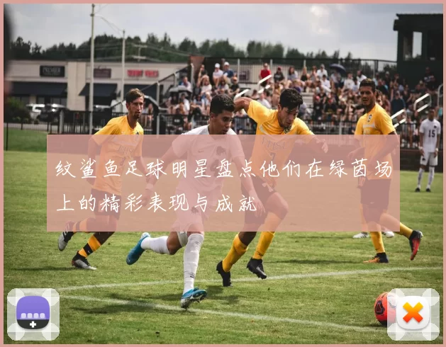 纹鲨鱼足球明星盘点他们在绿茵场上的精彩表现与成就