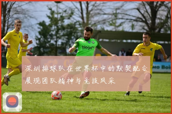 深圳排球队在世界杯中的默契配合展现团队精神与竞技风采