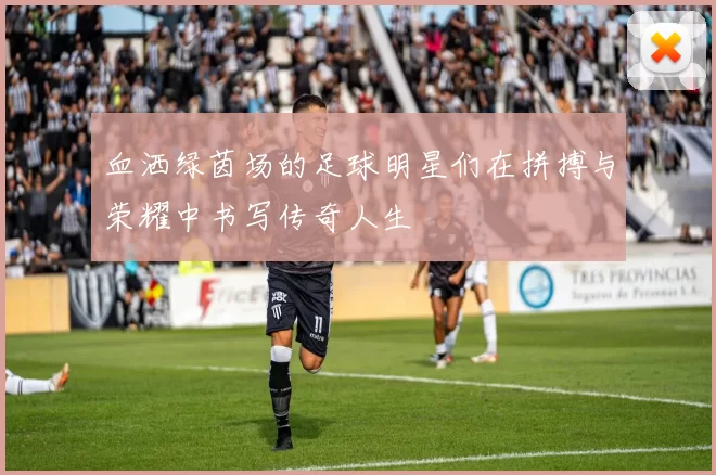 血洒绿茵场的足球明星们在拼搏与荣耀中书写传奇人生