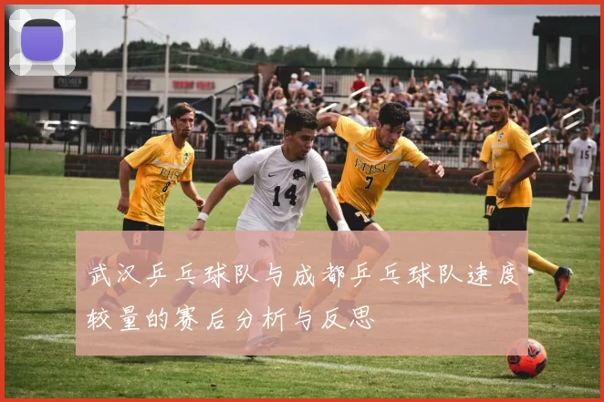 武汉乒乓球队与成都乒乓球队速度较量的赛后分析与反思