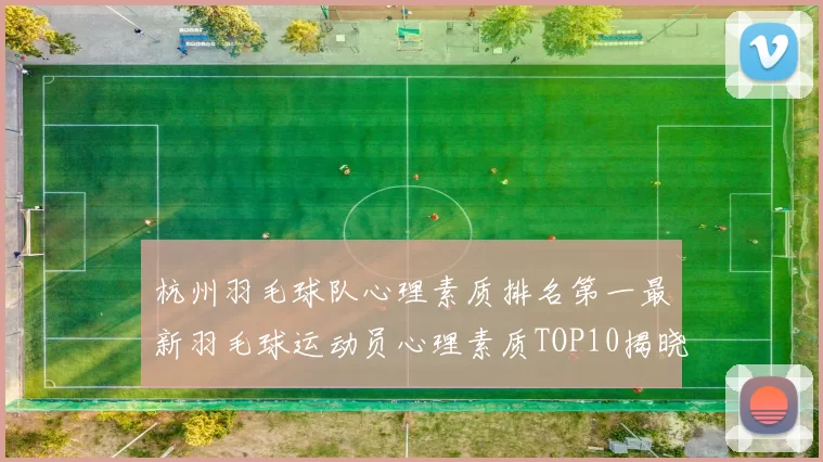 杭州羽毛球队心理素质排名第一最新羽毛球运动员心理素质TOP10揭晓