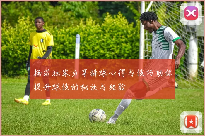 杨芳独家分享排球心得与技巧助你提升球技的秘诀与经验