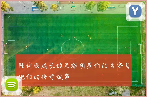 陪伴我成长的足球明星们的名字与他们的传奇故事