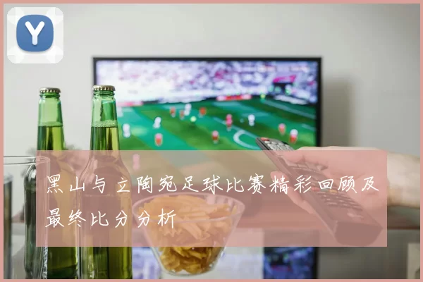 黑山与立陶宛足球比赛精彩回顾及最终比分分析