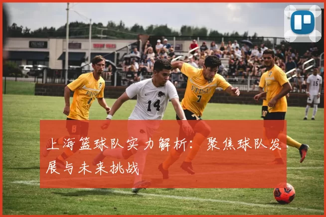上海篮球队实力解析：聚焦球队发展与未来挑战