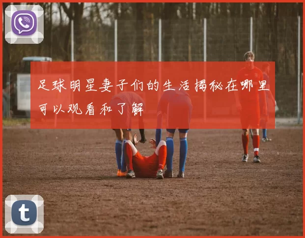 足球明星妻子们的生活揭秘在哪里可以观看和了解